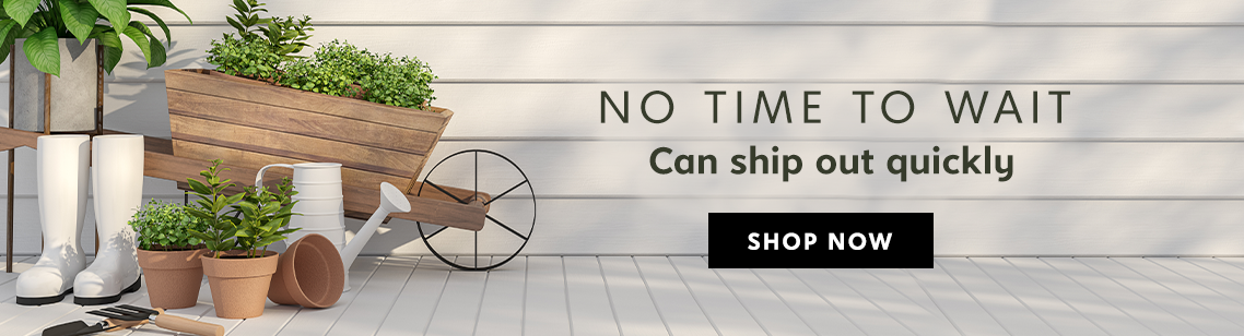 No time to wait: can ship out quickly, shop now