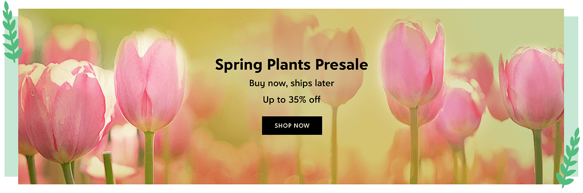 Spring Plants Presale - Buy now, ships later - Up to 35% off - Shop now